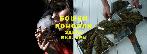 ГАЛЛЮЦИНОГЕННЫЕ ГРИБЫ Абаза