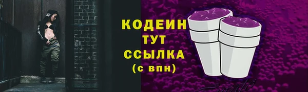 ГАЛЛЮЦИНОГЕННЫЕ ГРИБЫ Абаза